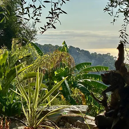 Villa Grimaldi Ferienhaus Grimaldi (Liguria)